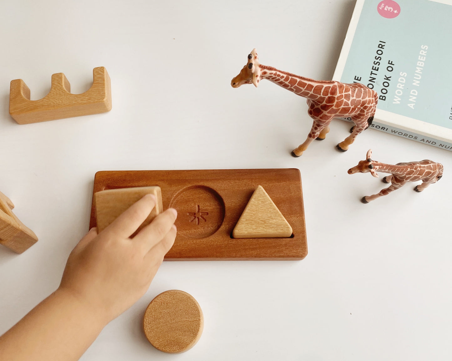 Square, Circle, Triangle. The shapes puzzle enables the little ones to develop hand-eye coordination and visual perception skills. Each chunky shape is made from Tembusu wood allowing the tiniest hands to grasp and the board is made from African Mahogany (Khaya).