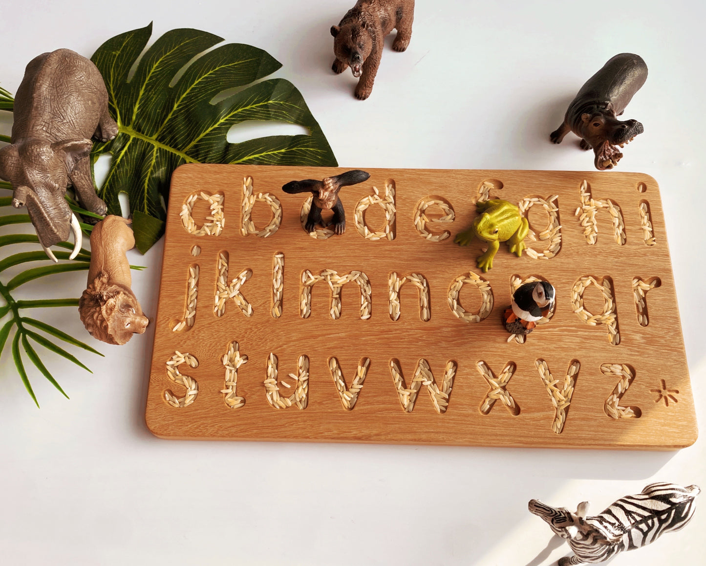 Alphabet Tracing Boards