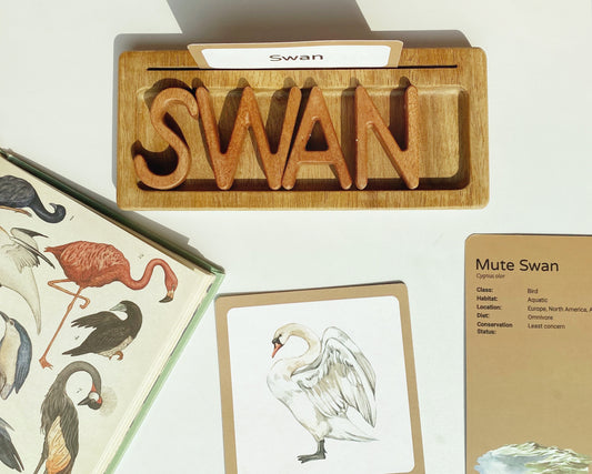 The reversible tray comes with a sensory tray and card slot on the flipside.