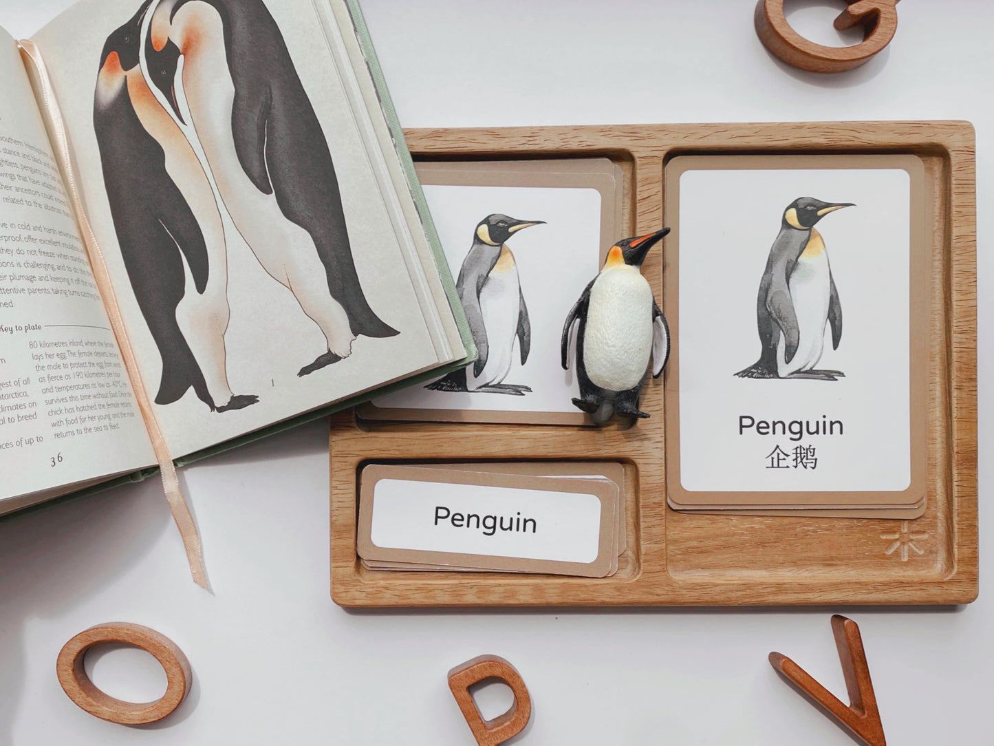 A multipurpose board and a classic feature in every Montessori family. Paired with the complementary three-part cards, it provides a tactile hands-on experience for young ones to expand their vocabulary and to be used for classification activities.