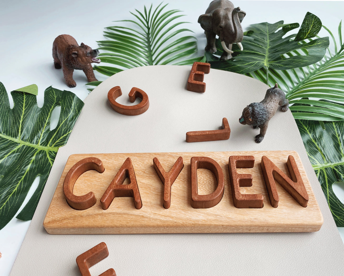 Name Boards (Customized)